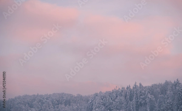 Obraz sunset over the forest in Zurich