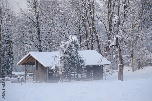 Obraz snow covered house