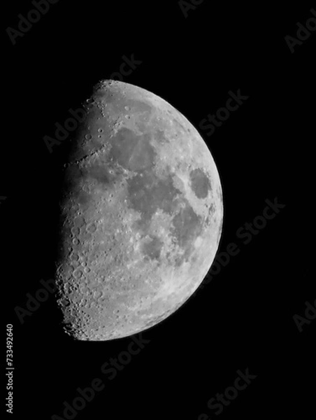 Obraz moon in the night