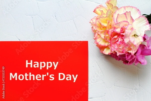 Fototapeta Mother's day background with pink carnation