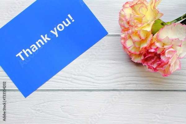Fototapeta Mother's day background with pink carnation