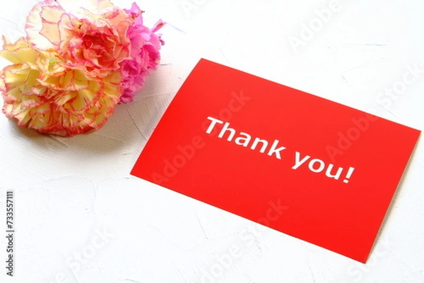 Fototapeta Mother's day background with pink carnation