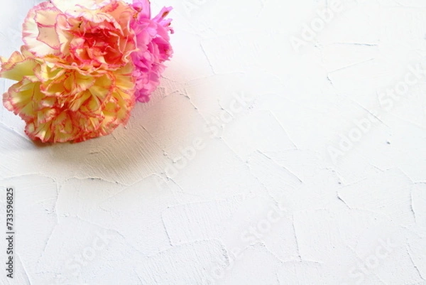 Fototapeta Mother's day background with pink carnation
