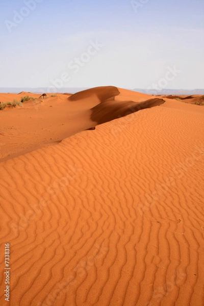 Obraz Dune dans le Sahara, Maroc
