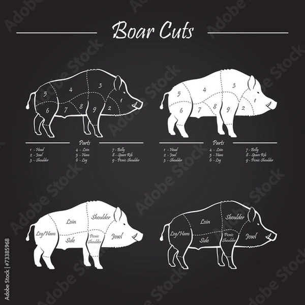 Fototapeta boar meat cut diagram - elements blackboard