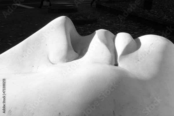 Fototapeta White stone face