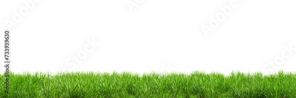 Fototapeta Seamless green lawn border isolated on transparent background. 3D render. 3D illustration.
