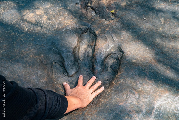Obraz Large, carnivorous dinosaur footprints It was intricately carved into the stone. Refers to a long past era when gigantic creatures roamed the wasteland. Leaving a formidable mark behind.