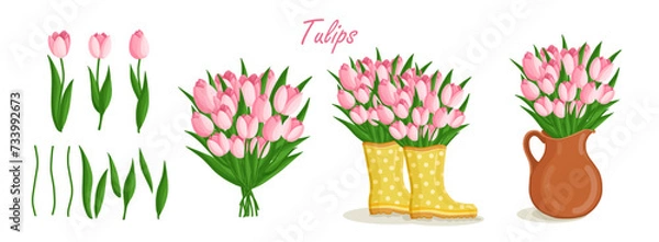 Fototapeta Spring bouquets with tulips and elements. Floral plants with bright flowers. Botanical vector illustration on isolated background for women's day, mother's day, easter and other holidays.