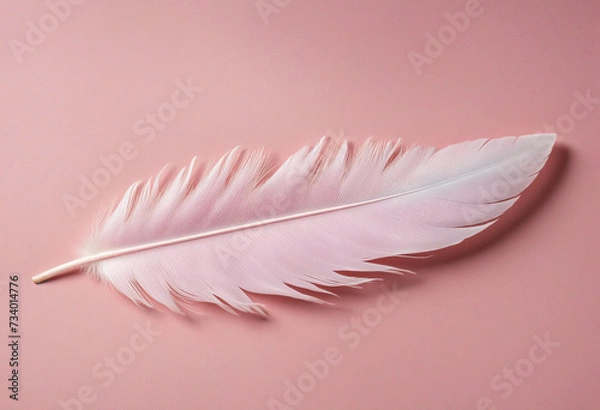 Fototapeta Elegant pink feather on pink backdrop