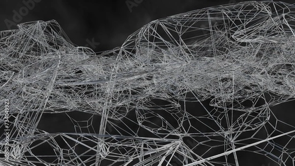 Fototapeta Abstract lines or webs