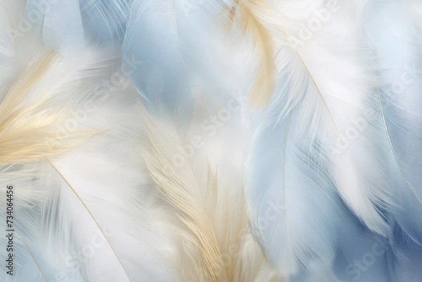 Fototapeta Beautiful closeup feather background in light blue and gold colors. Macro texture of colorful fluffy feathers from tropical bird. Minimal abstract pattern with copy space