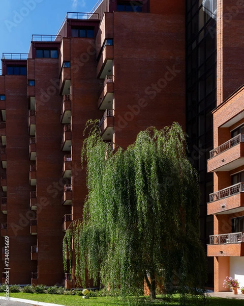 Fototapeta A green deciduous tree grows on the lawn of a multi-storey brick building.