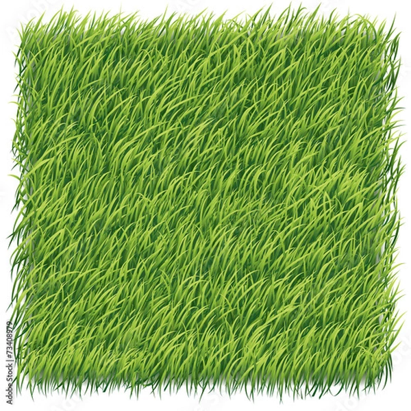 Obraz grass background