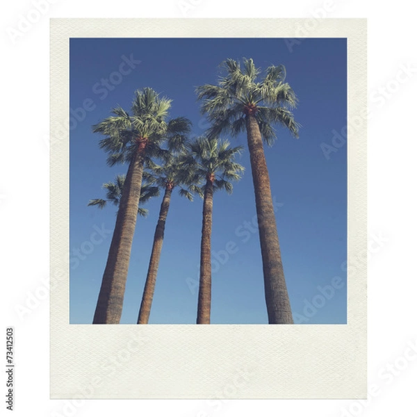 Obraz Palmiers - Photo instant vintage
