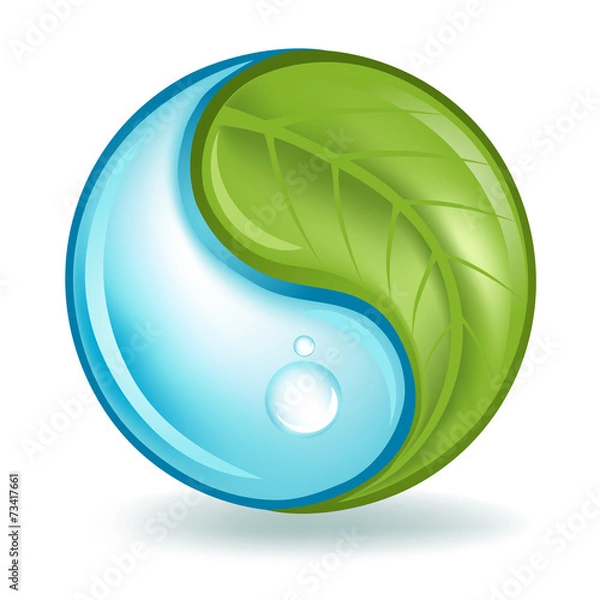 Obraz Elementy natury Yin Yang