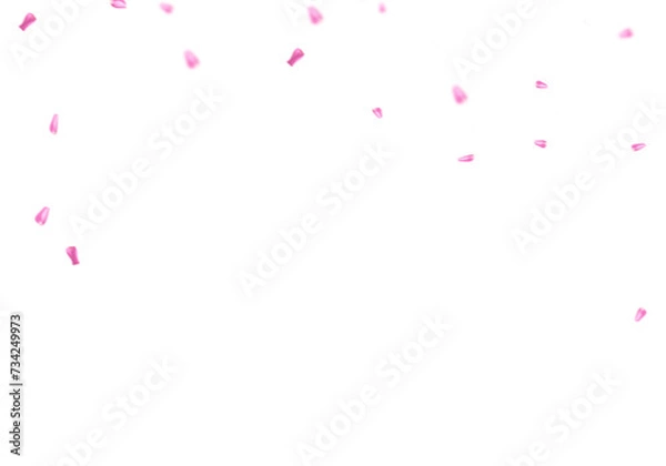 Fototapeta Floating pink rose petal isolated on on a transparent background png. Background concept for love greetings on valentines day and mothers day. Space for text	