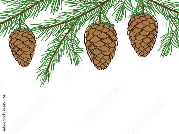 Fototapeta Winter background with pine branches with cones.