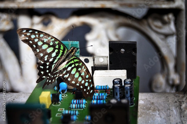 Fototapeta Environmentally friendly technology, makes life easier, stay healthy and beautiful