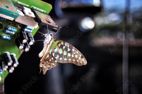 Fototapeta Environmentally friendly technology, makes life easier, stay healthy and beautiful