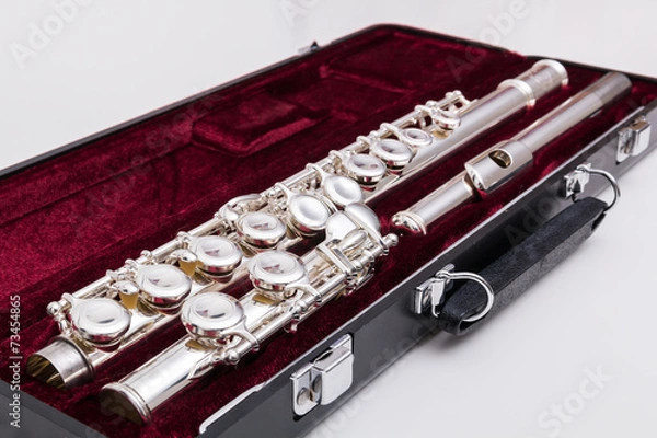 Obraz Silver flute