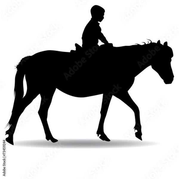 Fototapeta boy in the park riding a horse