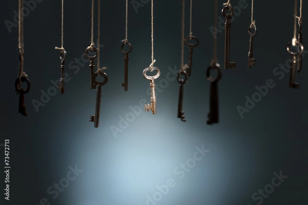 Obraz The Right Key