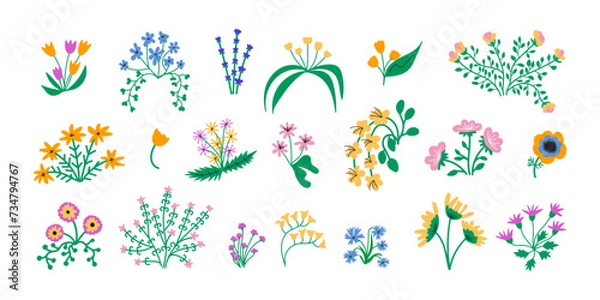 Fototapeta Flowers with leaves, bouquet clipart set, simple hand drawn doodle illustrations, modern colorful vector illustrations of abstract florals isolated on white background