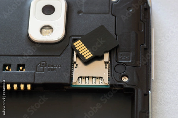 Fototapeta Upper shot of a dismantled smartphone with SD card