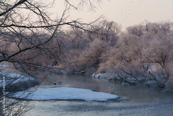 Fototapeta 樹氷とタンチョウ