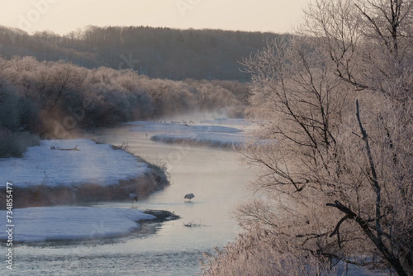 Fototapeta 樹氷とタンチョウ