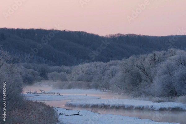 Fototapeta 樹氷とタンチョウ