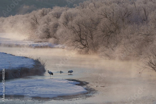 Fototapeta 樹氷とタンチョウ