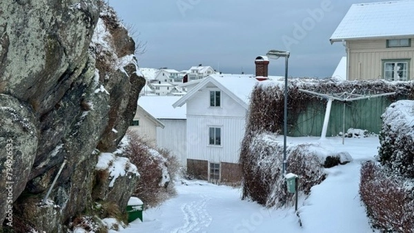 Obraz house in the snow