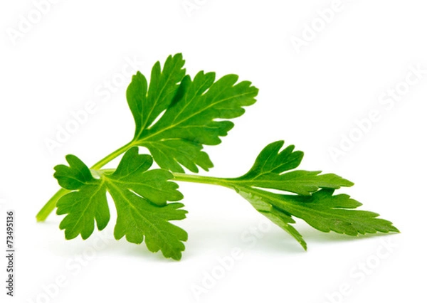 Obraz pietruszka izolowana na białym