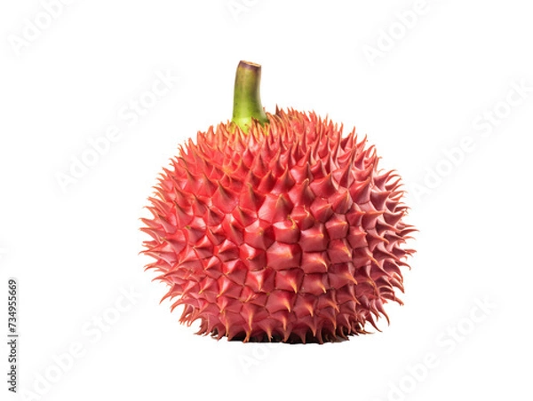 Fototapeta a red fruit with spikes