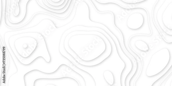 Fototapeta Abstract white wavy line 3d paper cut white background. abstract white background with smooth wavy layers. silver grid map line topography mount contour map .