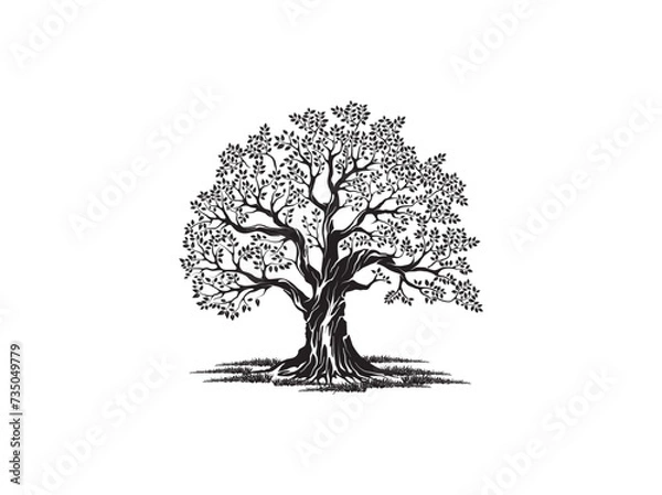 Obraz giant oak tree hand drawn vector illustrations