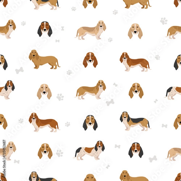 Fototapeta Norman Artesian Basset seamless pattern. All coat colors set.; All dog breeds characteristics infographic