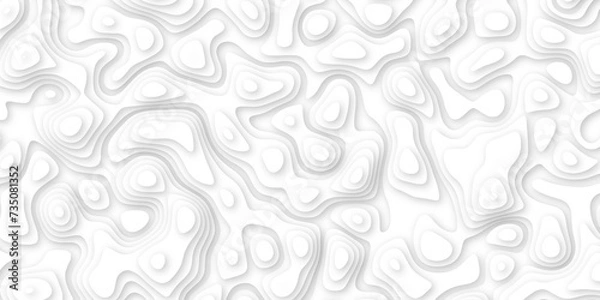 Fototapeta white paper and relief wave and cruve line paper cut background. soft white color seamless pattern, vector illustration, multi layer cutout banner design. topo counter map in 3d view.