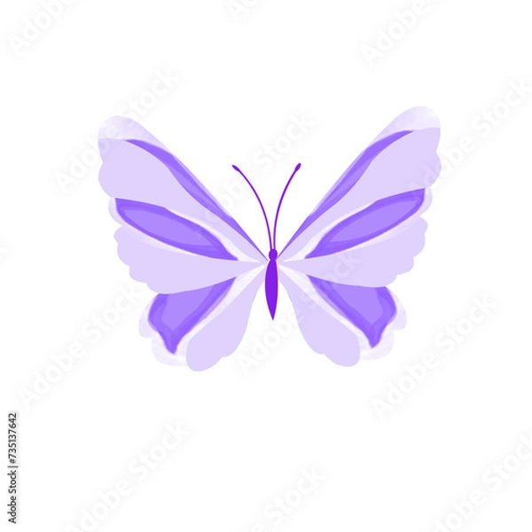 Fototapeta Butterfly vector, Butterfly element, Butterfly 