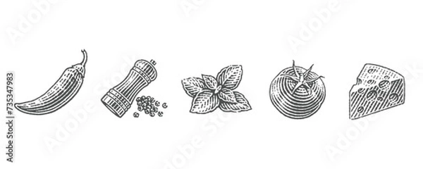 Fototapeta Cooking Spices.Tomato.  Cheese. Jalapeno. Chilli pepper. Pepper shaker. Basil.  Hand drawn engraving style illustrations. Vector illustration.