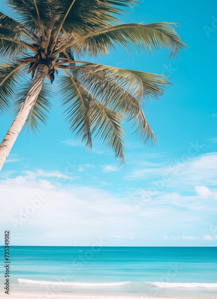 Fototapeta palm trees on the beach