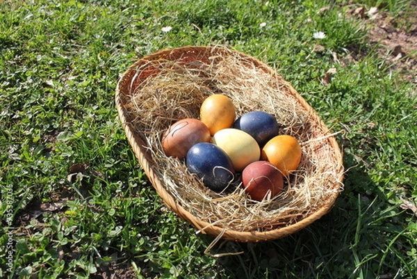 Obraz Naturally colored Easter eggs in a basket on a meadow