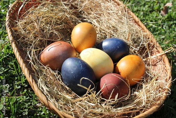 Obraz Naturally colored Easter eggs in a basket on a meadow