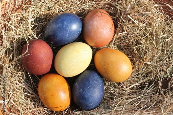 Obraz Naturally colored Easter eggs in a basket on a meadow