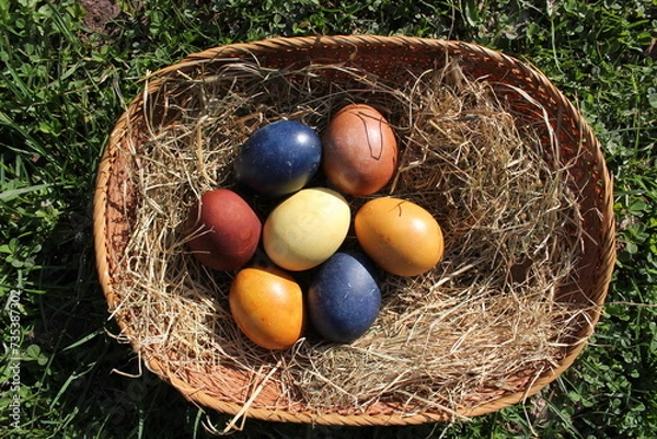 Obraz Naturally colored Easter eggs in a basket on a meadow