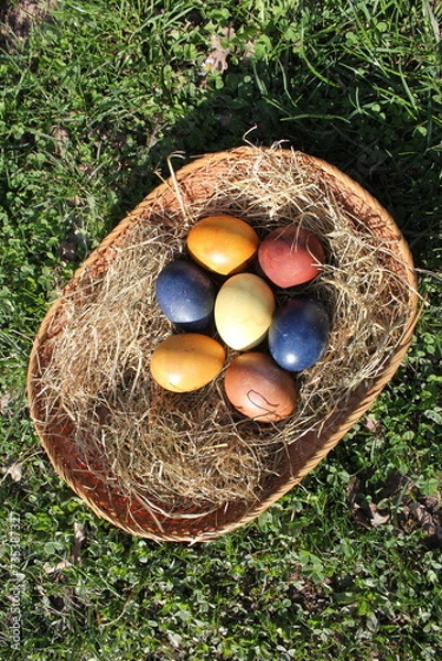 Obraz Naturally colored Easter eggs in a basket on a meadow