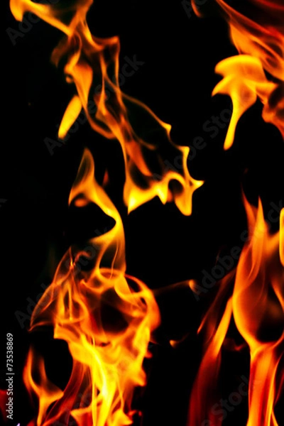 Fototapeta Fire flames on a black background
