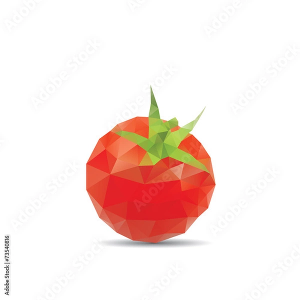 Obraz Tomato abstract isolated on a white backgrounds
